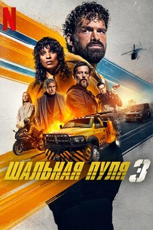 Шальная пуля 3